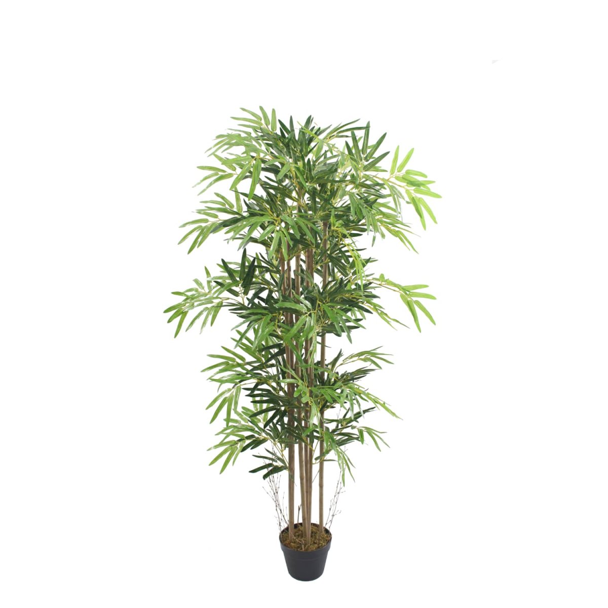 Bambú Nature UV 150