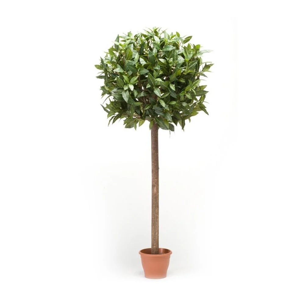 Árbol laurel ESFERA. Altura 125 cm y 1147 hojas con tronco natural.