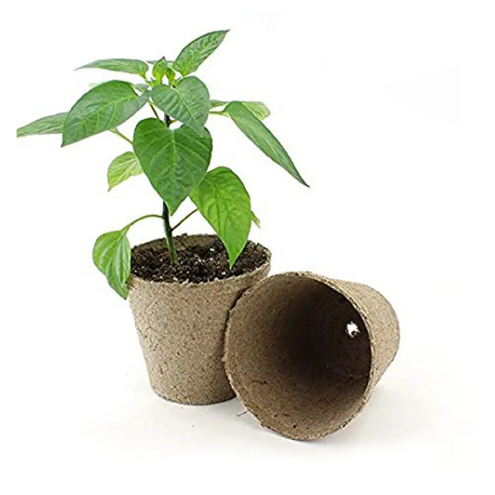 Jiffy Peat Pots - Imagen 2